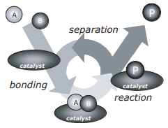 A catalytic reaction between A and B to form P