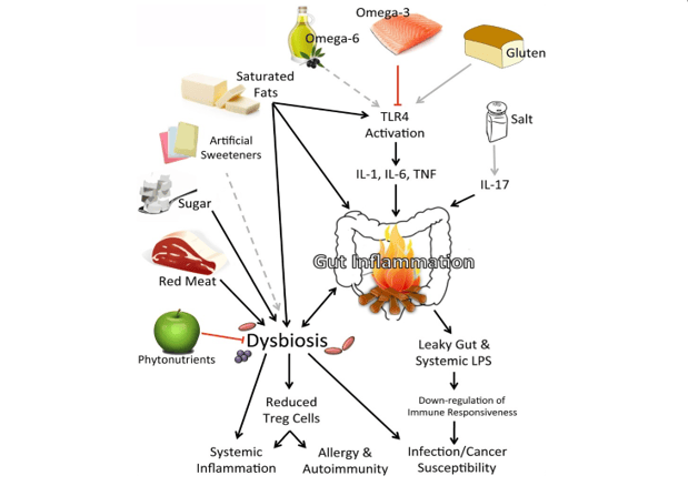 Figure 1 A Visual Element on the unhealthy foods increases cancer, diabetes and heart disease susceptibility (Myles 7)