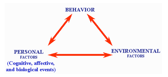 Figure 1 Conceptual Model