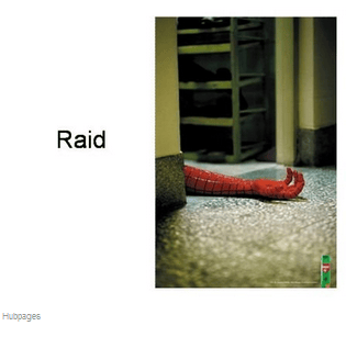 Print Ad #10 Raid