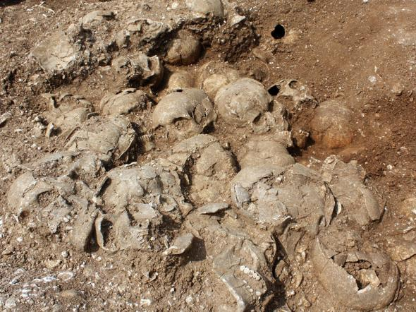 Thousand-year-old skulls in Weymouth, U.K.