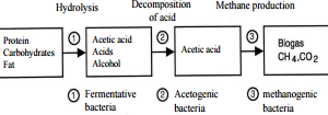 fermentation principles in the production of methane